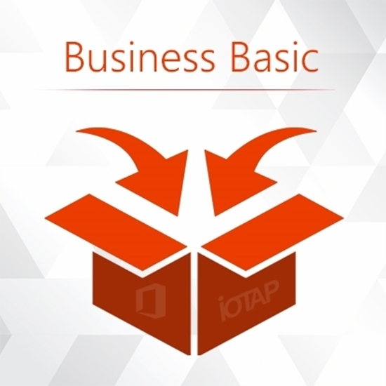 Picture of Business Basic