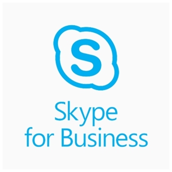 Picture of Skype for Business Online Plan 1